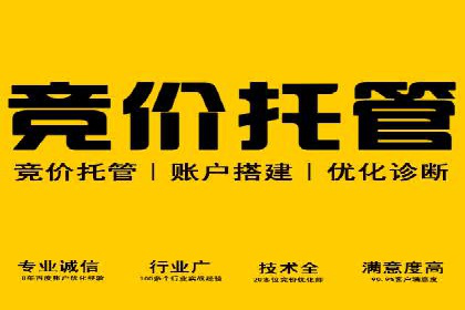 SEM广告投放的精准定位与优化案例